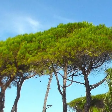 Riviera West Durres Tirana Sea Side דירה