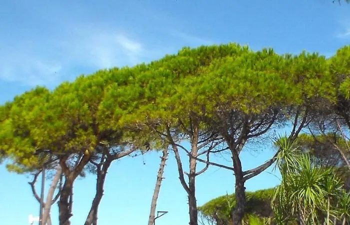 Riviera West Durres Tirana Sea Side Διαμέρισμα